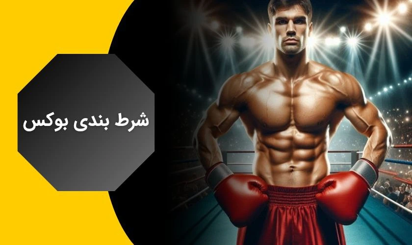 راهنمای جامع شرط بندی بوکس برای تازه کاران + معرفی سایت